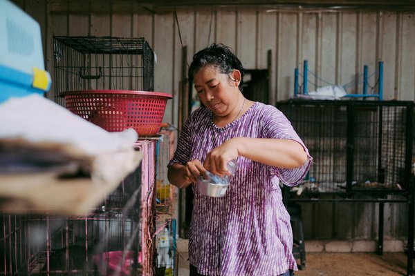 L'élevage de rongeurs : pour qui, pourquoi, comment ?