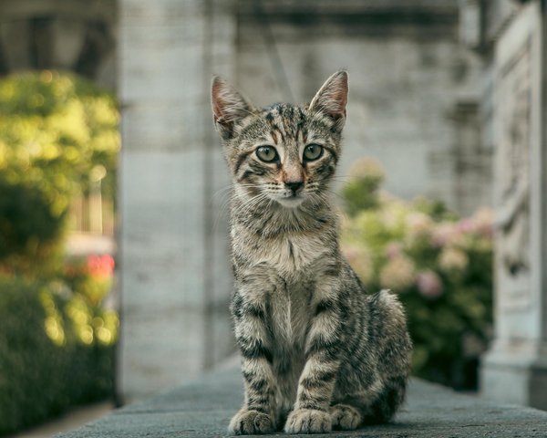 Découvrez les dernières avancées sur les écosystèmes marins fascinants