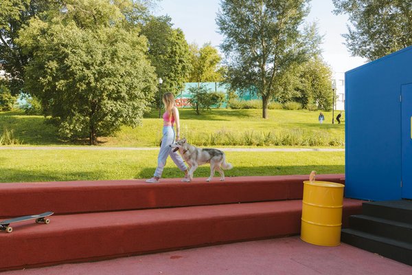 Découvrez comment l'huile de cannabidiol booste la santé de votre chien