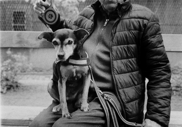 Améliorez la relation avec votre animal grâce à un éducateur canin à grenoble